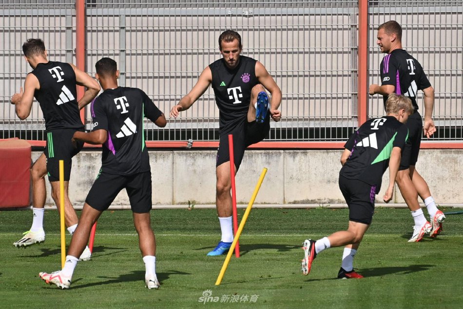 的决赛展望 的决赛展望