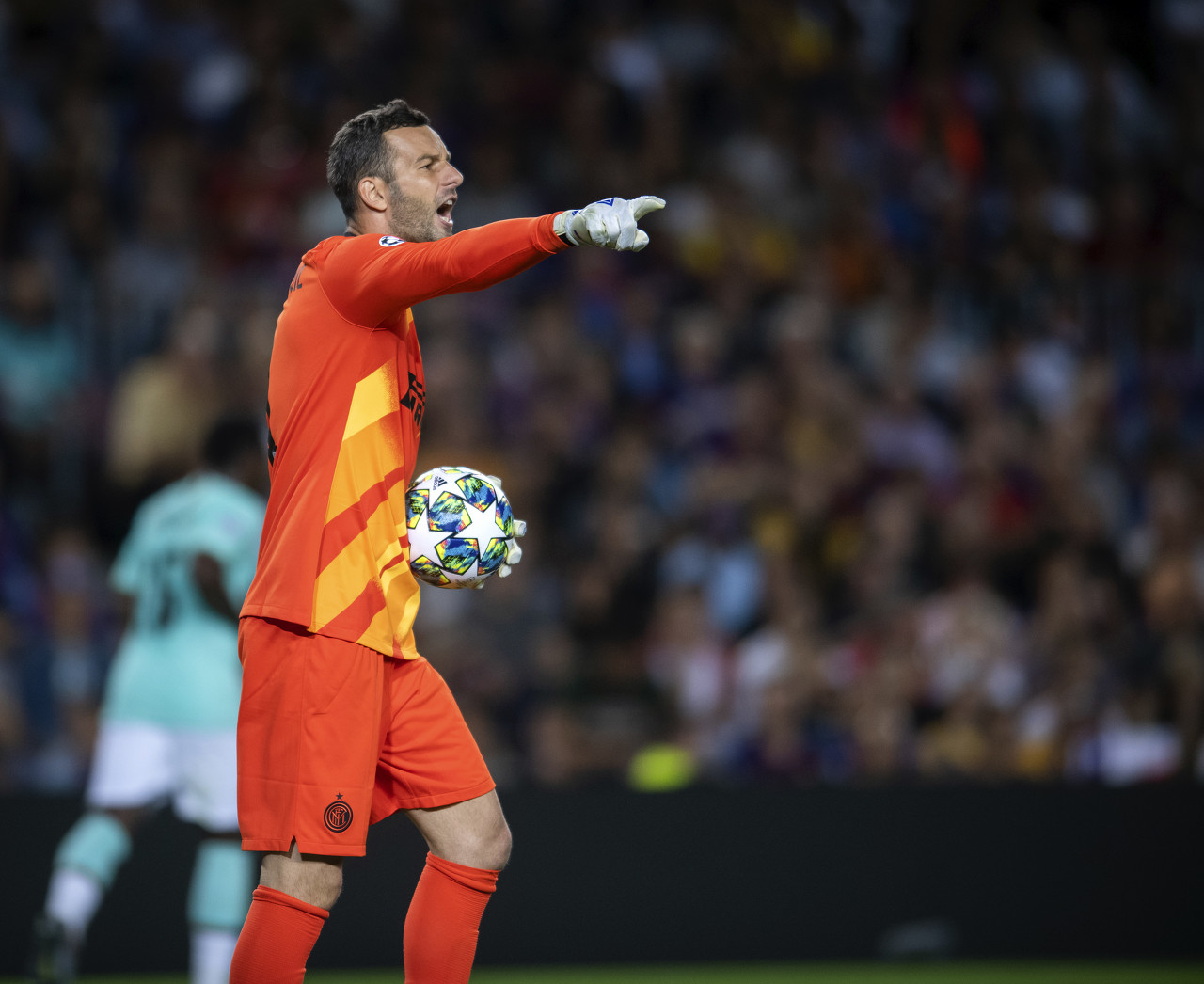 反复播放的 反复播放的